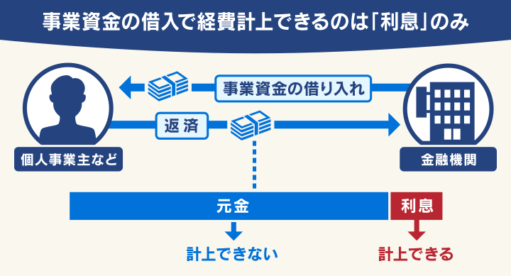 事業資金の借入で経費計上できるのは利息のみ