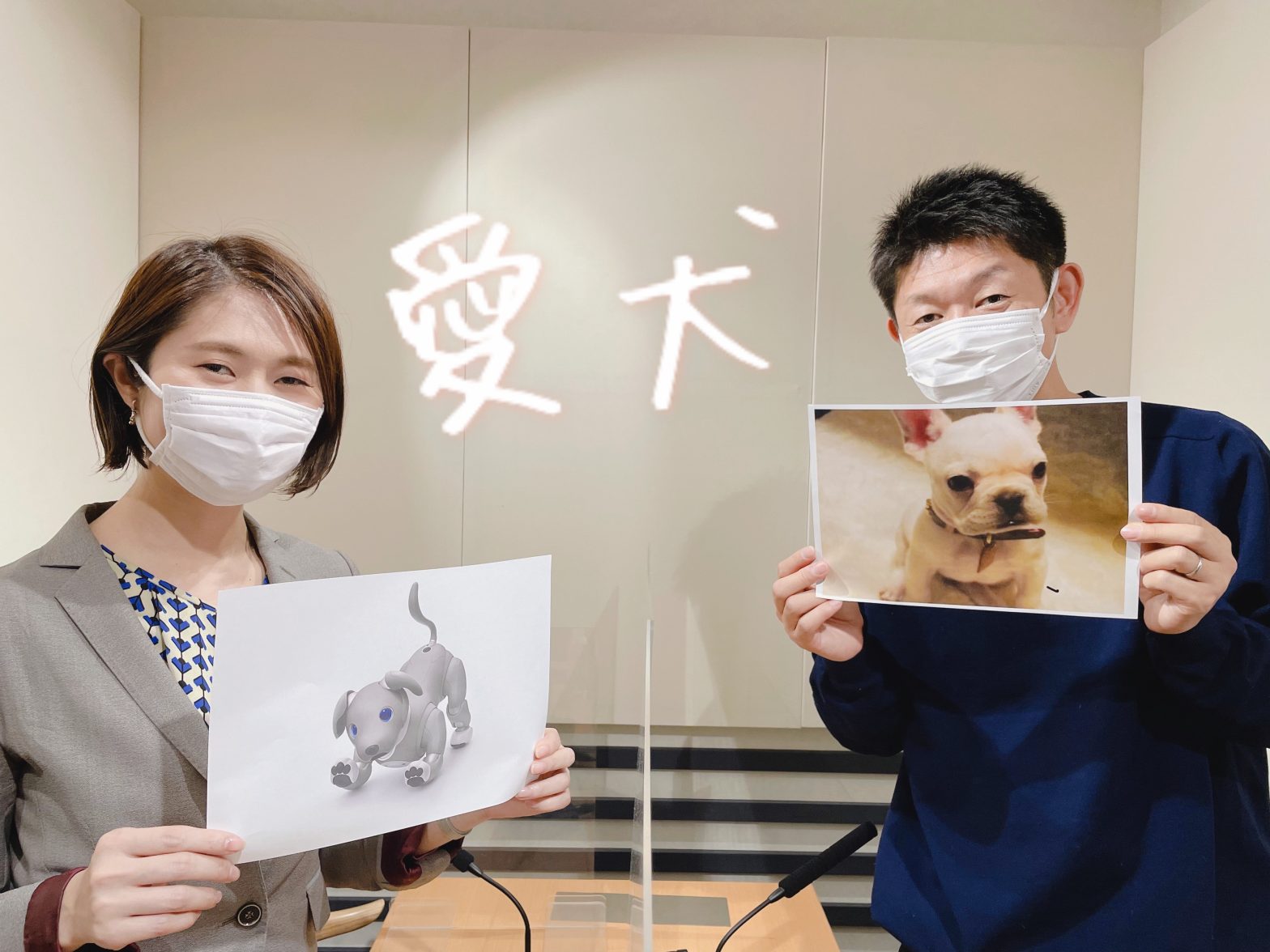 お互いの愛犬を紹介する島田秀平さんと古藤由佳弁護士